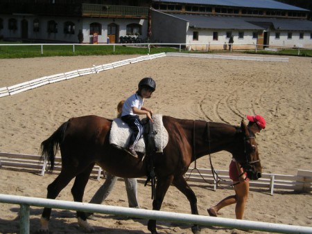 Jockey